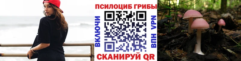 Купить  Фрязино  Псилоцибиновые грибы мицелий 