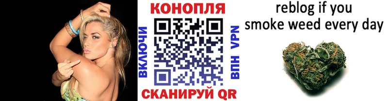 Каннабис AK-47  Купить где  Фрязино 